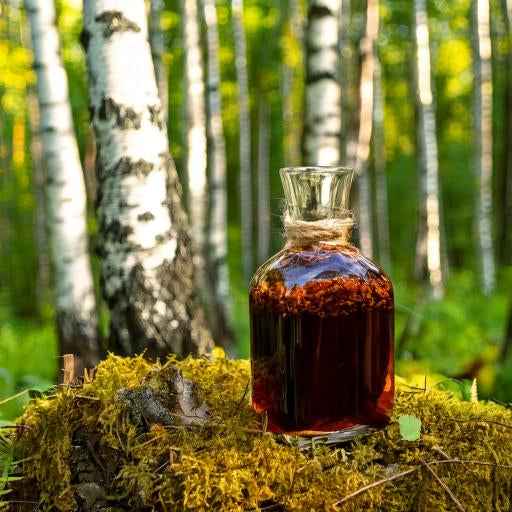Chaga Mushroom Tincture - Botanical Sage