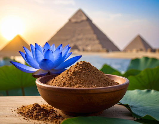40:1 POWDERED EXTRACT BLUE LOTUS EXTRACT( Nymphaea Caerulea )