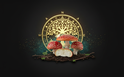 AMANITA MUSCARIA / FLY AGARIC