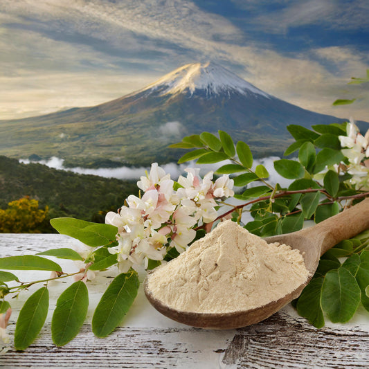 Acacia Cathechu Powder