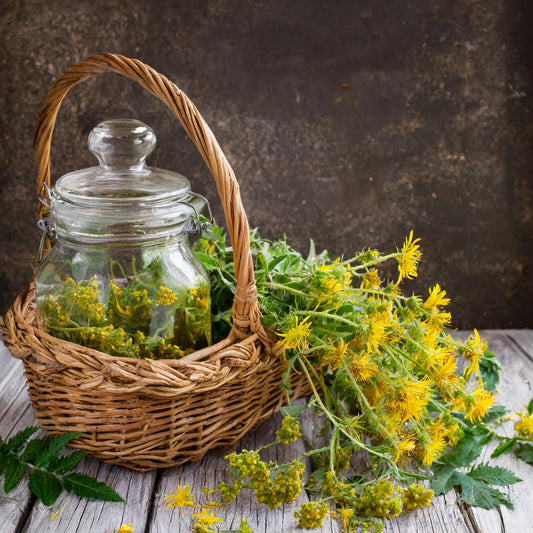 Agrimony Herbs Cut