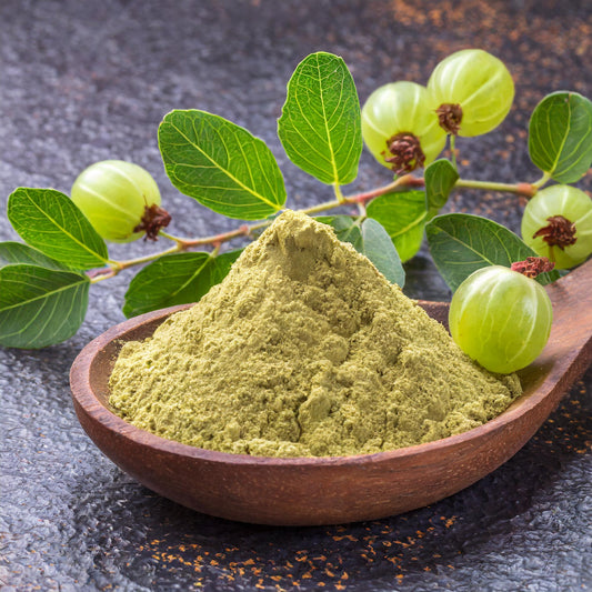 Amla Powder (Indian Gooseberry)