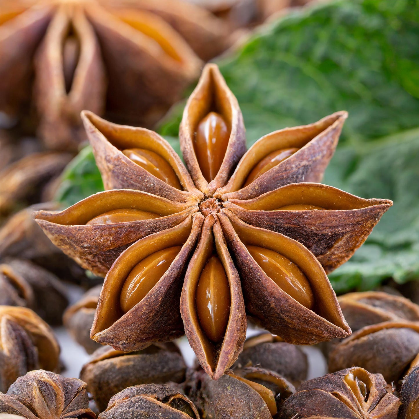 Anise Star Whole