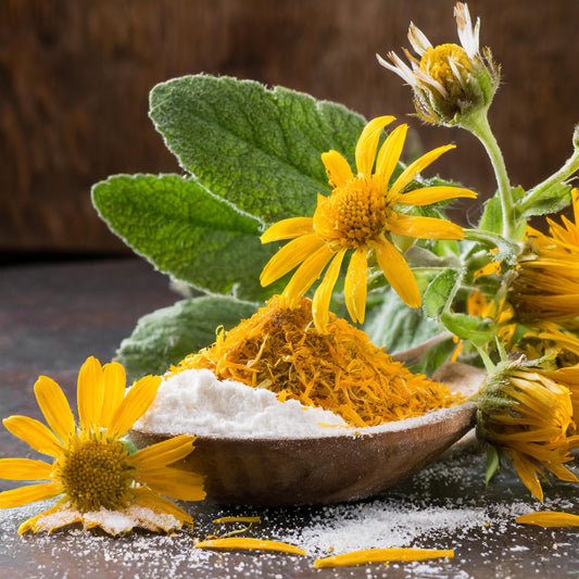 Arnica Flowers Whole (Mexico)