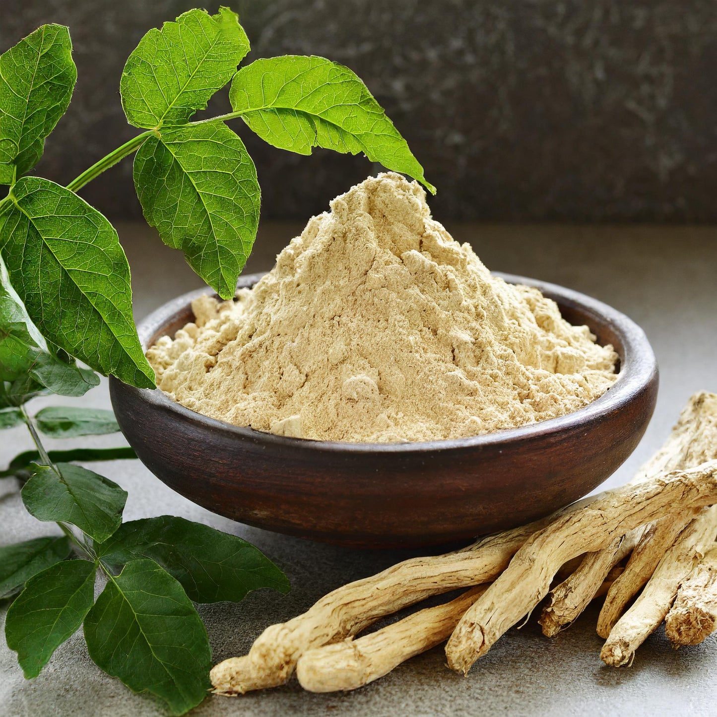 Astragalus Root Powder