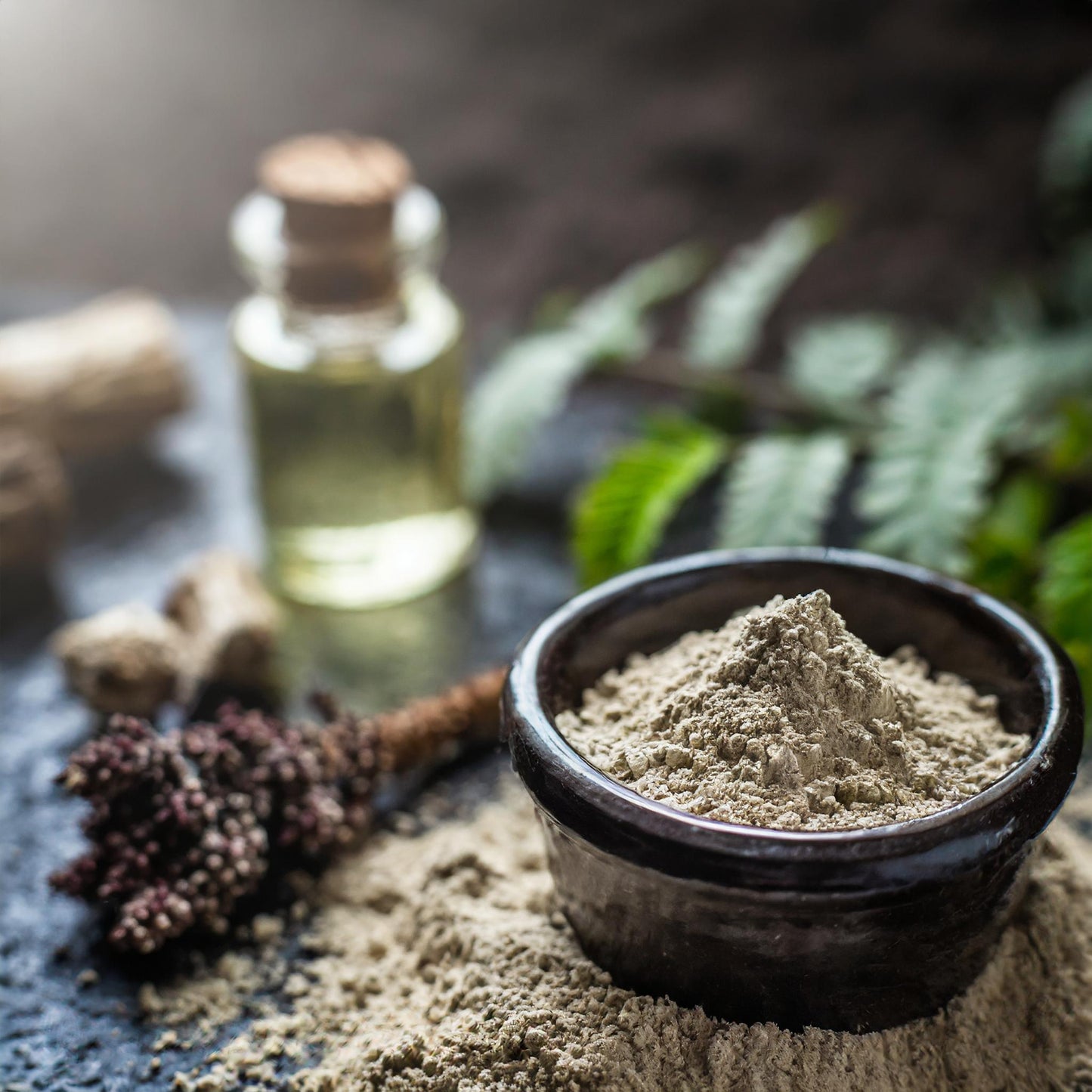 Black Cohosh Root Powder