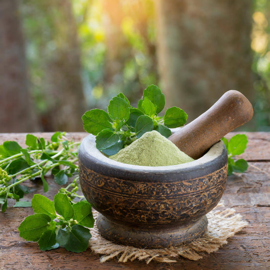 Brahmi Leaves Powder (Bacopa Monnieri)