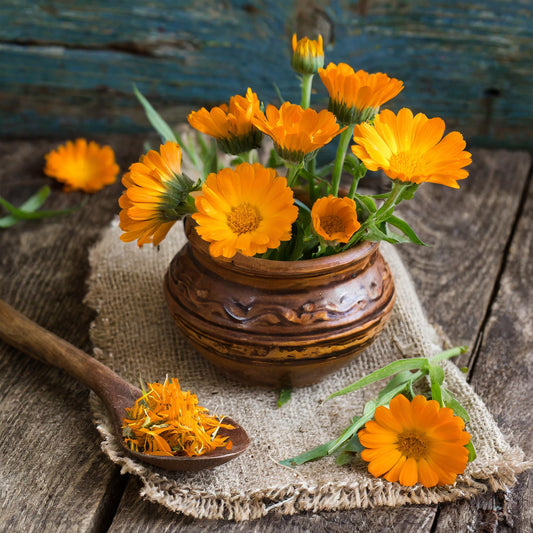 Calendula Flowers Whole (Pot Marigold)