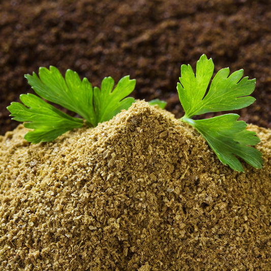 Celery Seed Ground