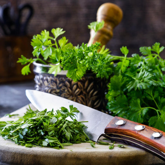 Chervil Cut