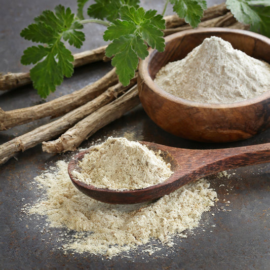 Blue Cohosh Root Powder