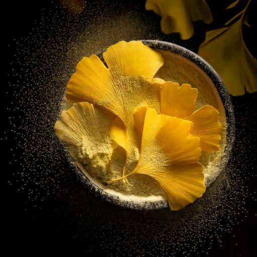 Ginkgo Leaf Powder