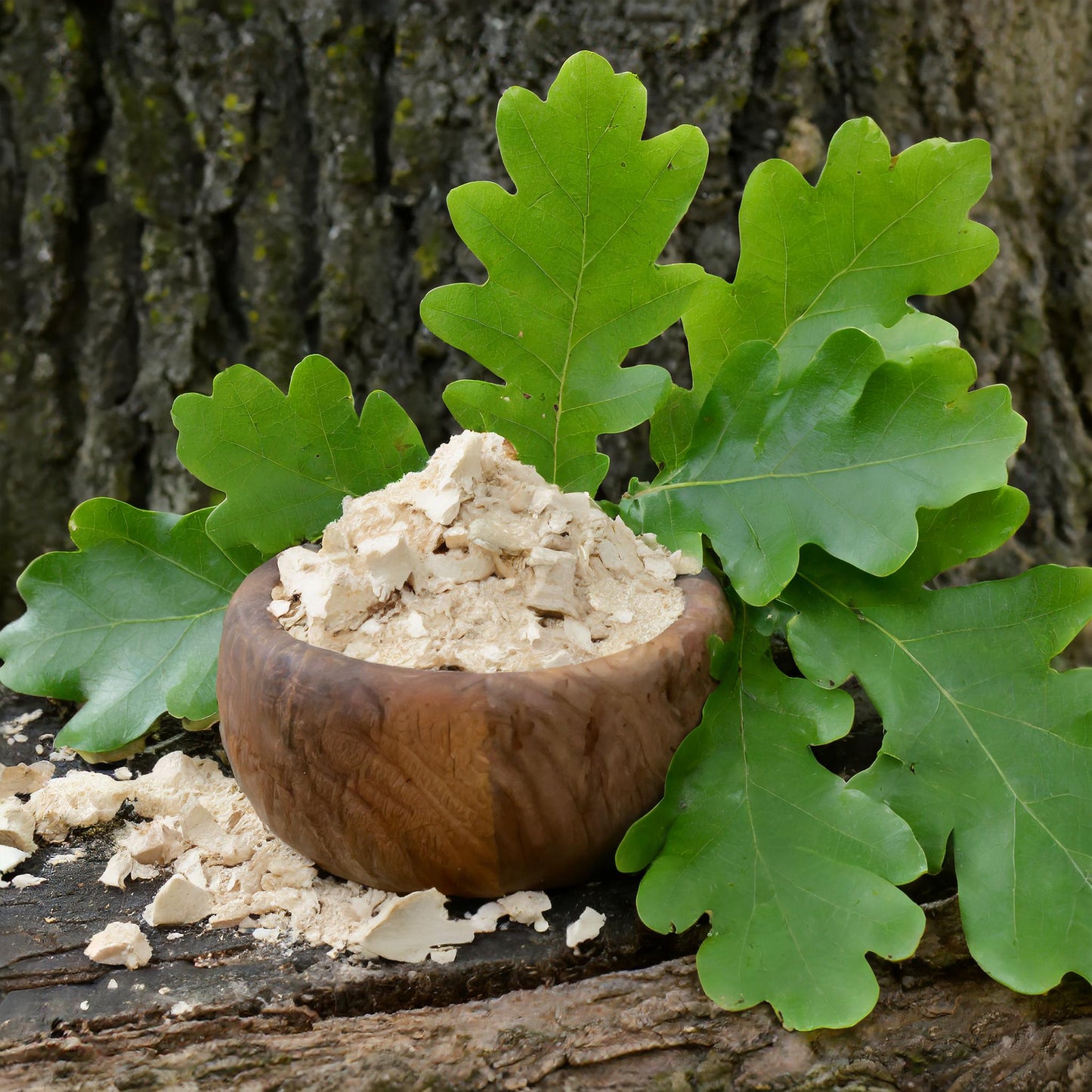 White Oak Bark Powder