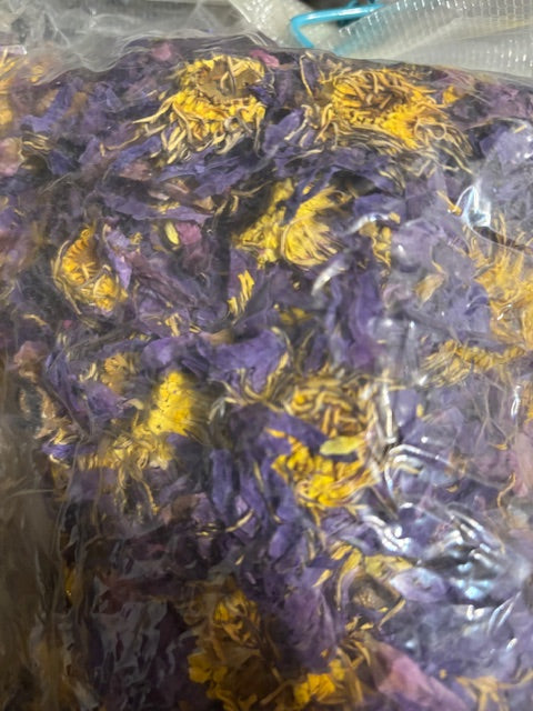 BLUE LOTUS FLOWER ( Nymphaea Caerulea )